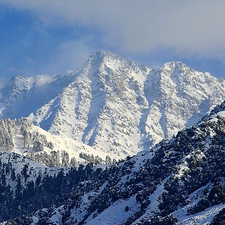 Hotel Bliss Valley Dharamshala - Beautiful View Of Mountains From Rooms Exterior foto